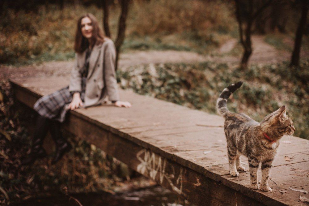 Случайная встреча