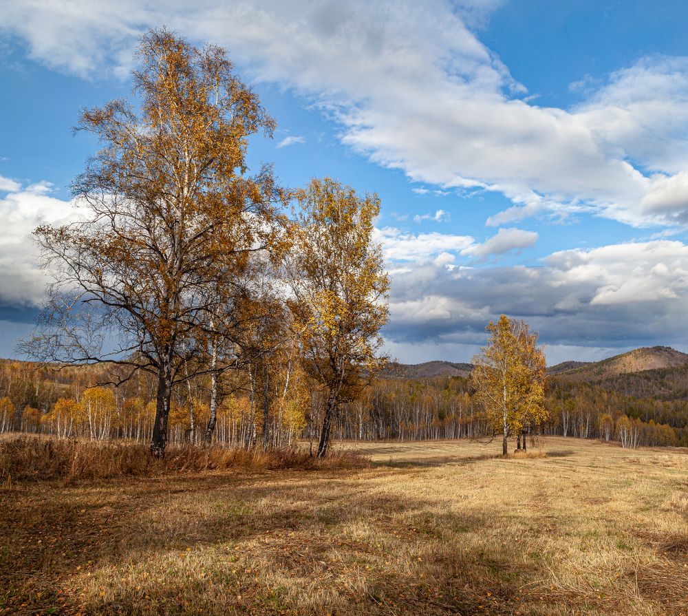 Photograph by Марина Новожилова