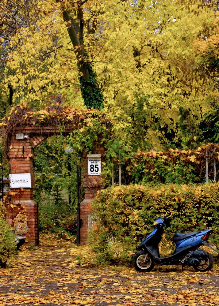 Photograph by Фаина Зеленая