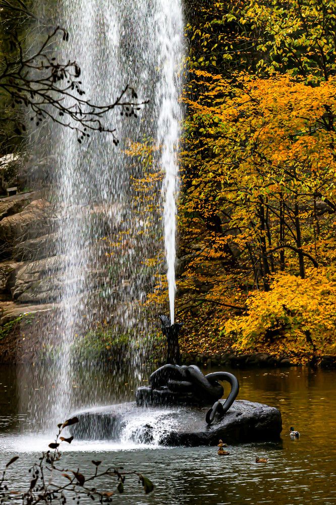 Photograph by Фаина Зеленая