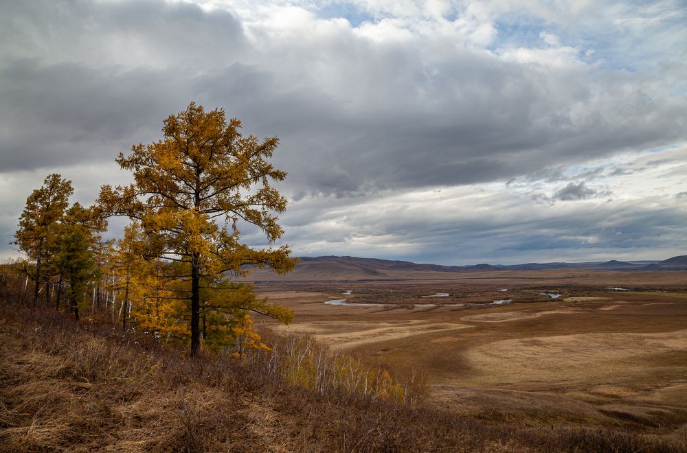 Photograph by Марина Новожилова
