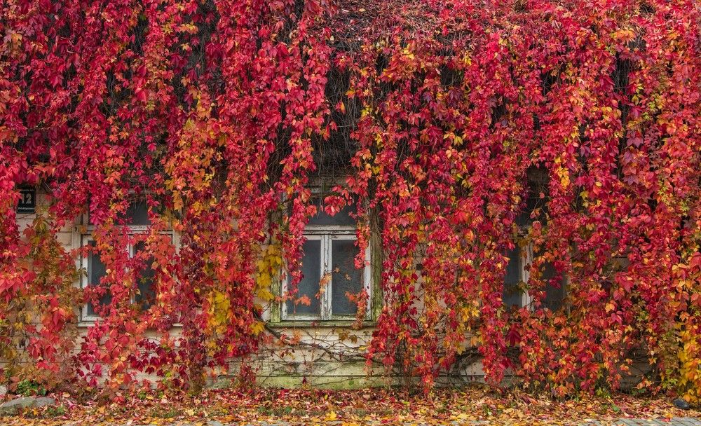 Photograph by Liga Skalde