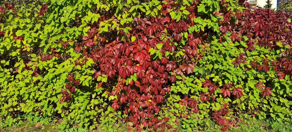 Photograph by Aleksandrs Konstantinovs