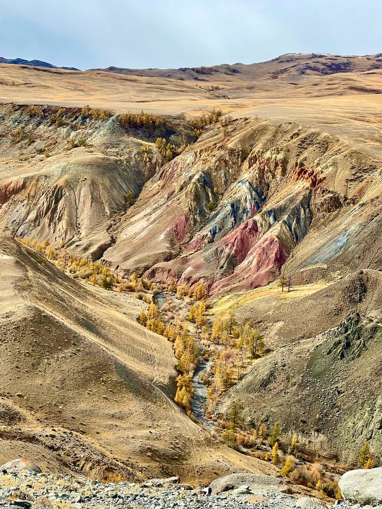 Photograph by Наталья Свинарёва