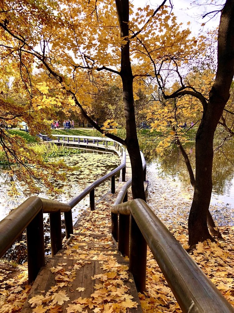 Осень в Воронцовском парке