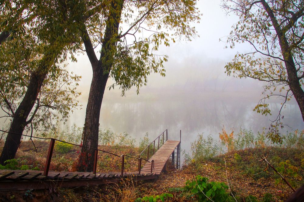 Photograph by Андрей Потапов