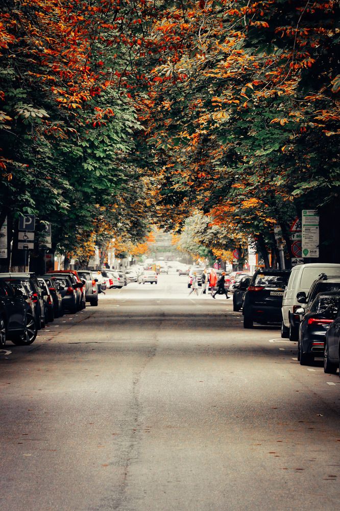 Photograph by Андрей Потапов