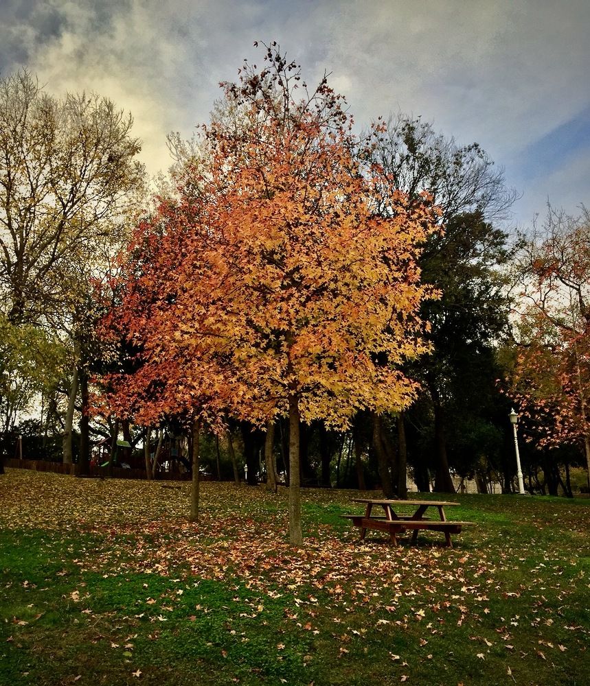 Photograph by Ahmet Aka