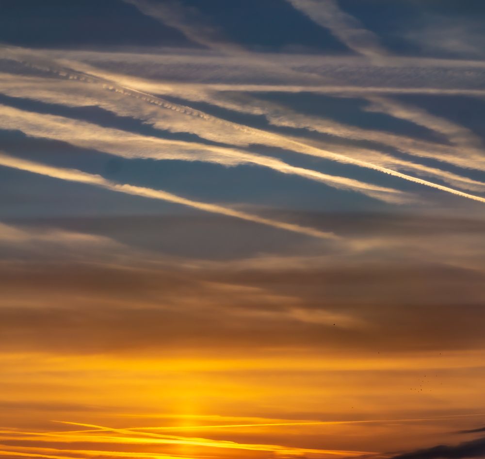 Фотография автора Crespan Terry