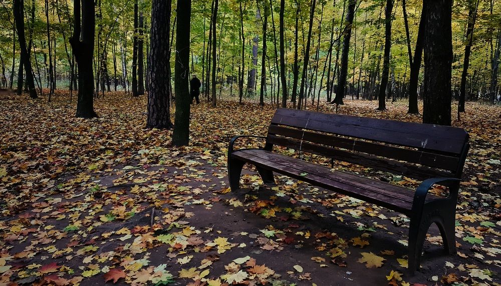 Photograph by Алина Веремеенко