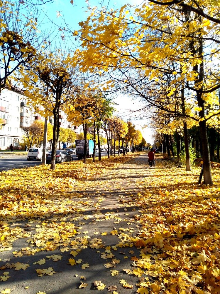 Photograph by Елена Малкова