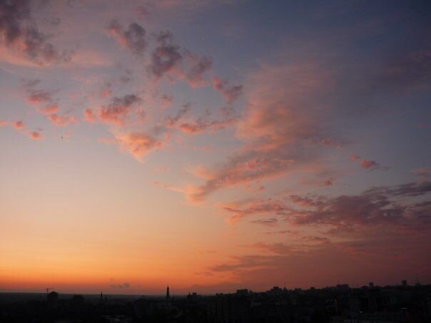 Photo #6554012