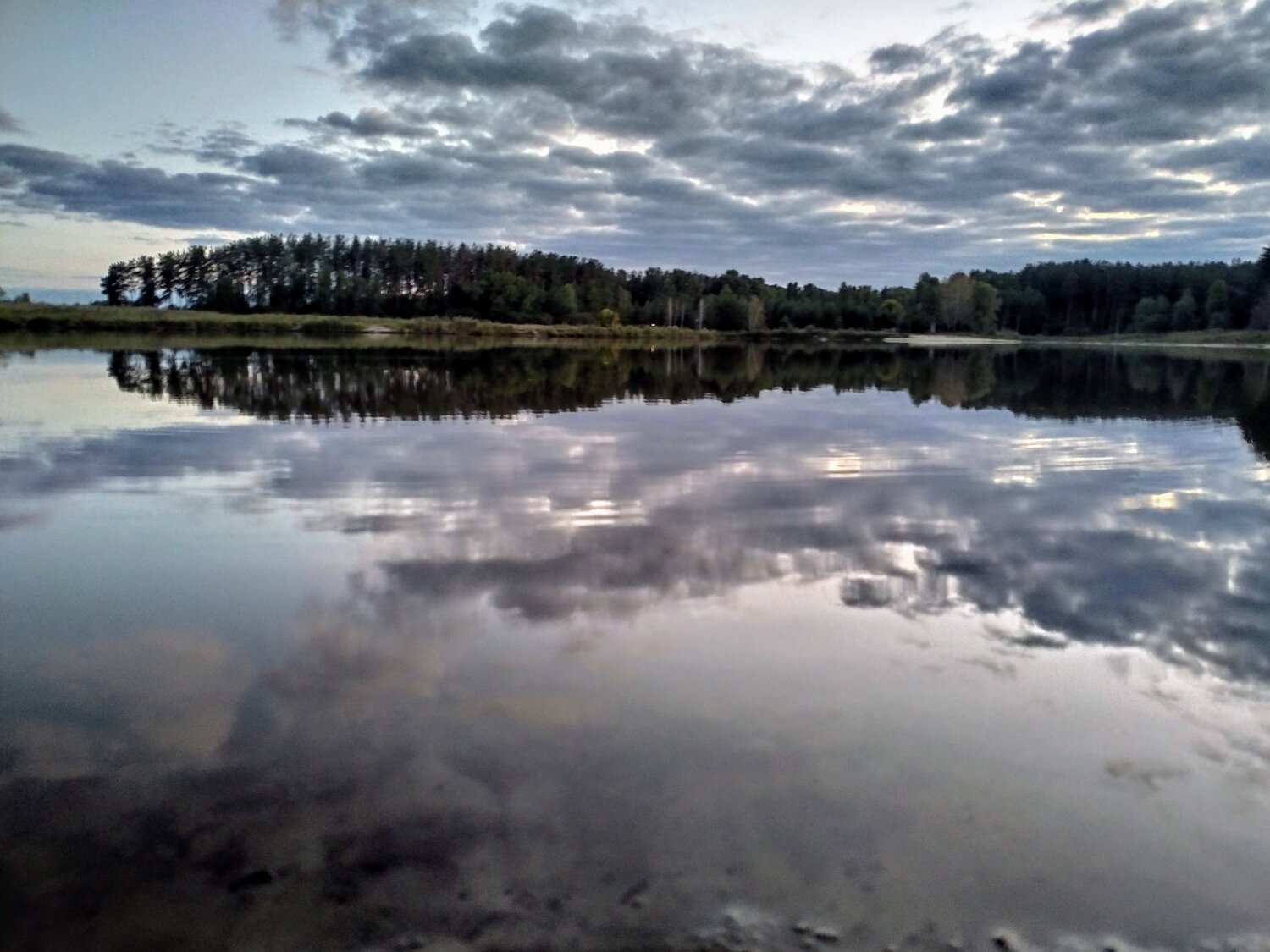 Photo #6554046