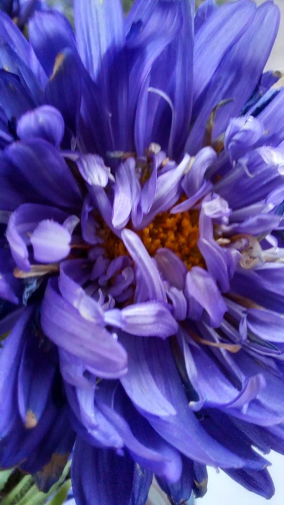 Фотография автора Евгения Зайцева