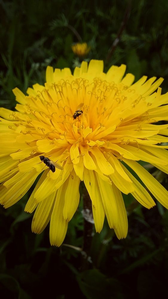 Фотография автора Евгения Зайцева