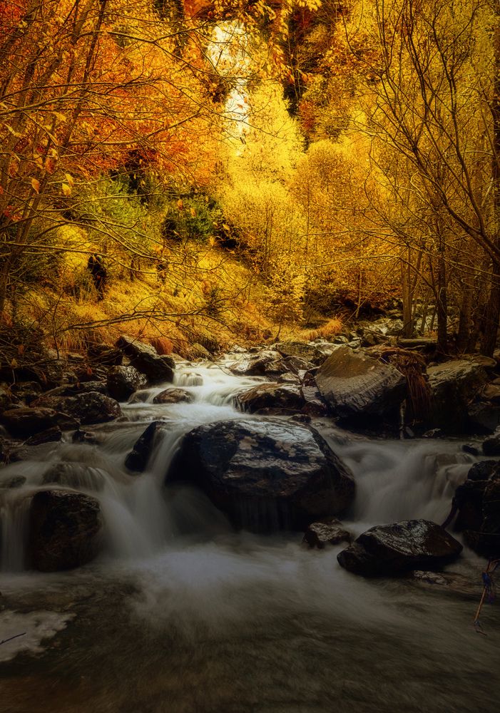 Photograph by ANTONIO MATA CUEVAS