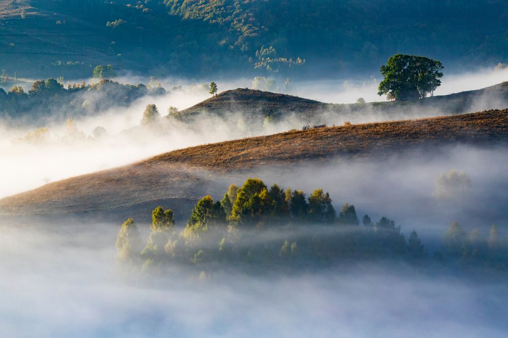 Фотография автора Raul Gruics