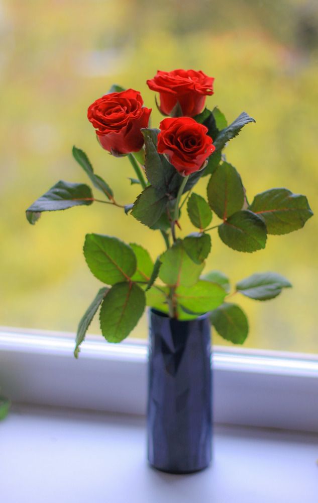 Photograph by Жанна Цветкова