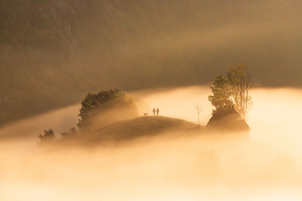 Фотография автора Raul Gruics