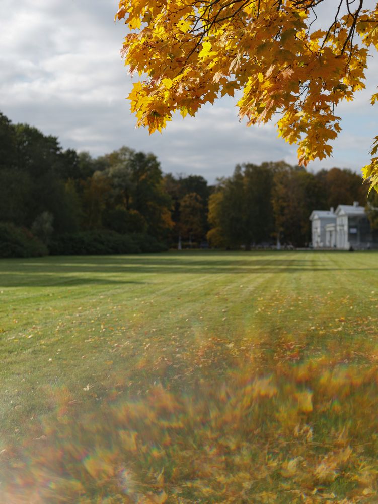 Photograph by Nadezhda Stoliarova