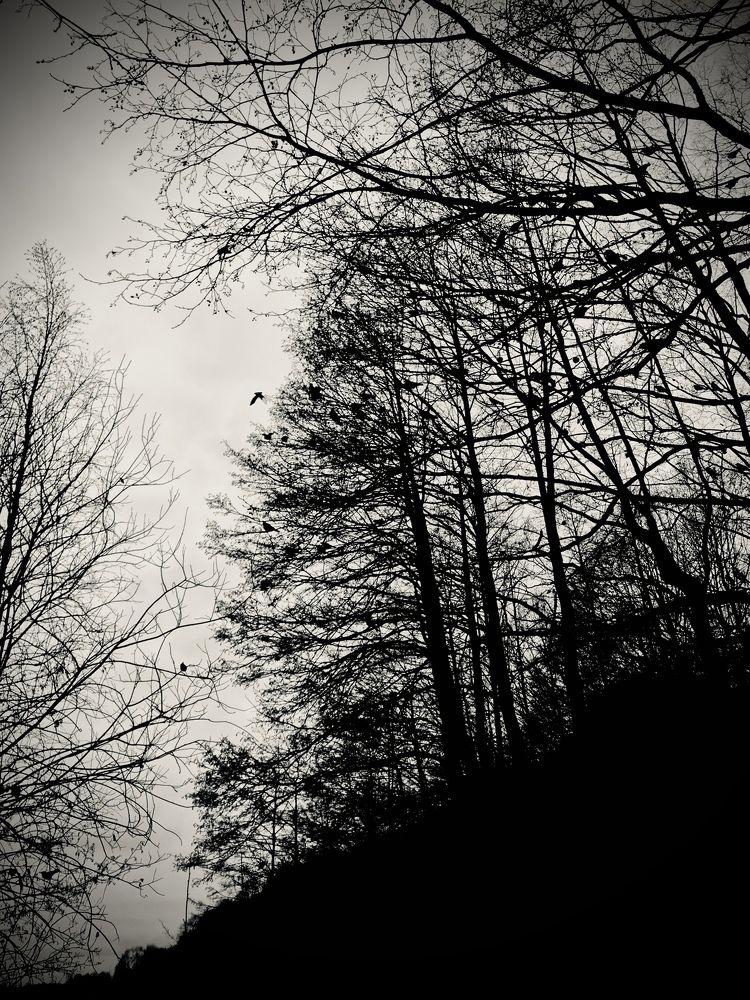 Photograph by Pavel