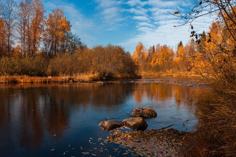 Photograph by Наталья Вторыгина