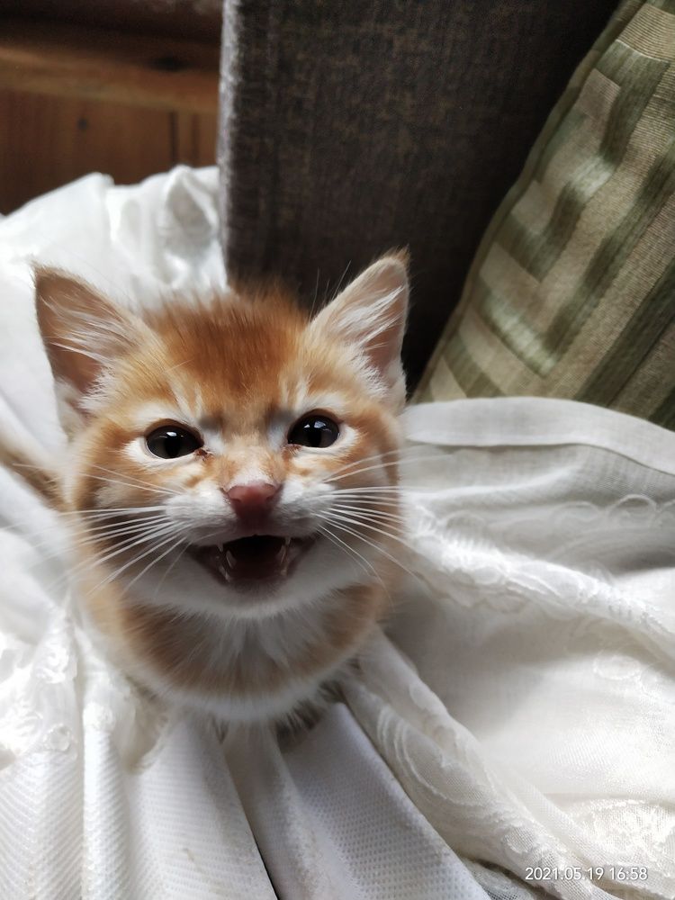 Photo #6554334