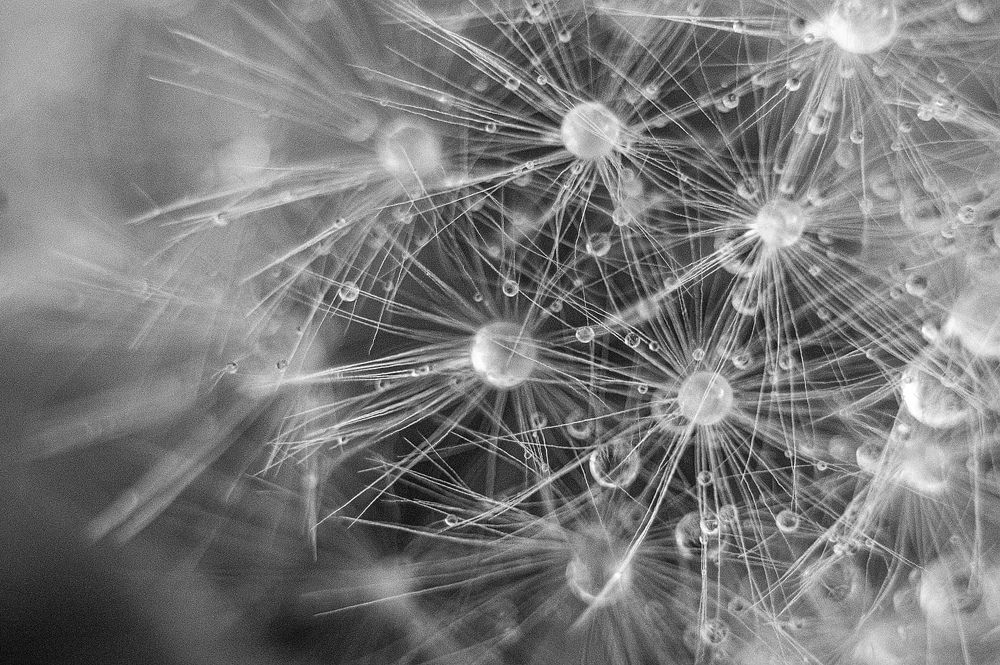 Photograph by Подгурский Фёдор