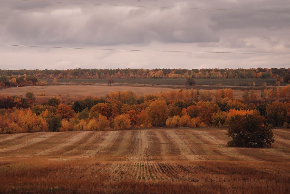 Photograph by Евгения Кутоманова