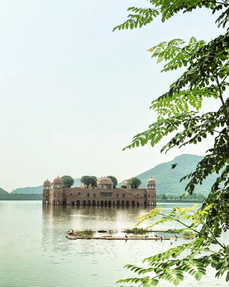 Photograph by Indu Choudhary