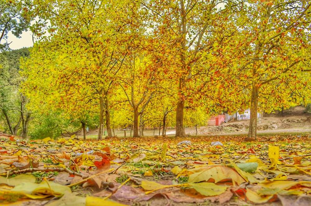 Photograph by SAID SERBOUTI