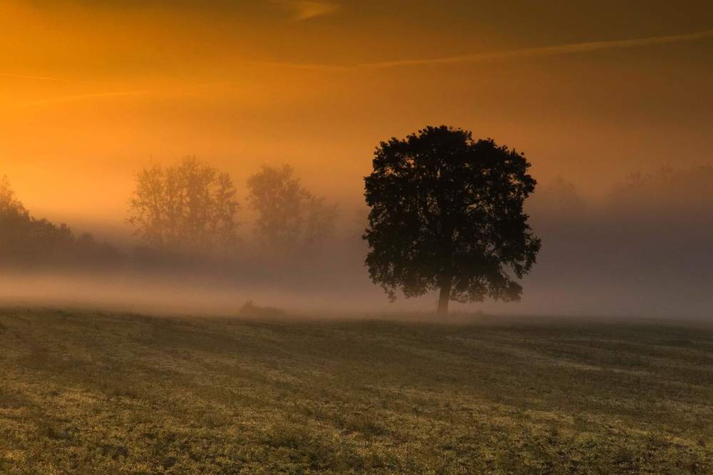 Photograph by SAID SERBOUTI