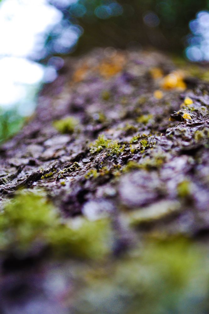 Маленький - большой мир