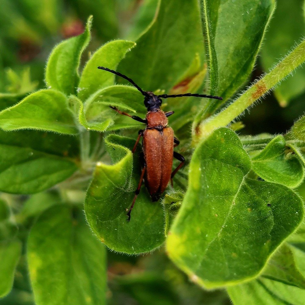 Photograph by Ольга