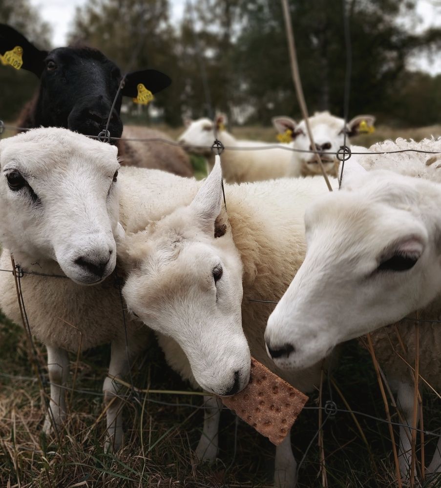 Я тоже хочу