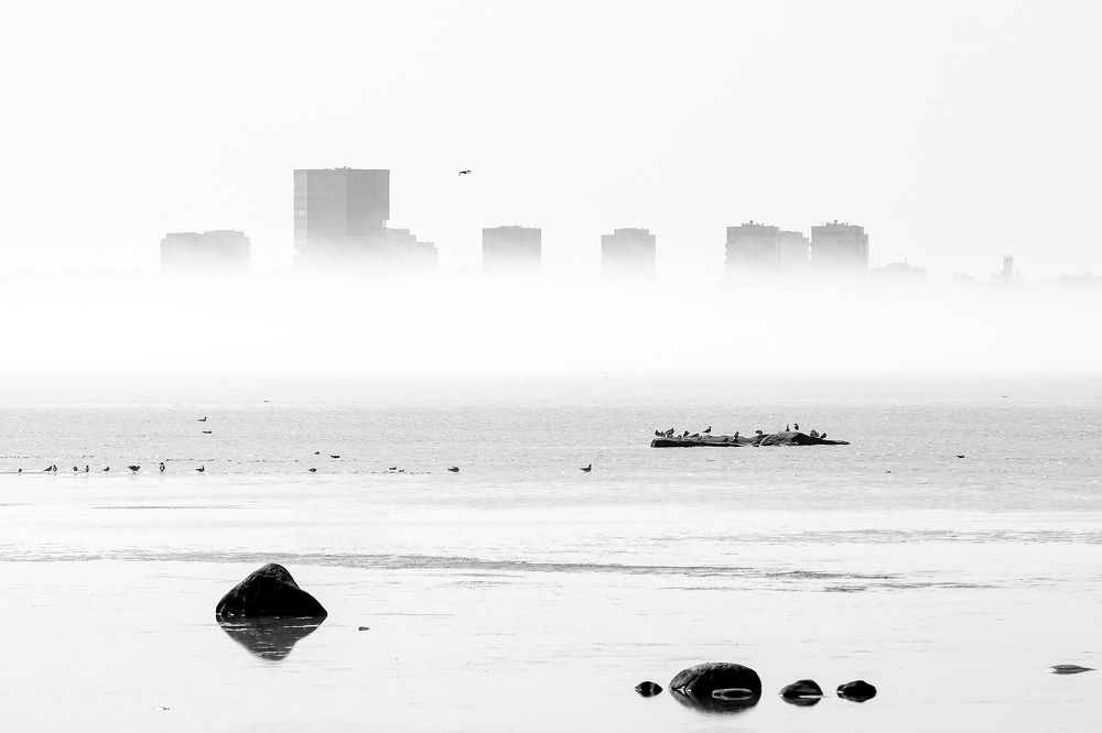 Photograph by Александр Абросимов