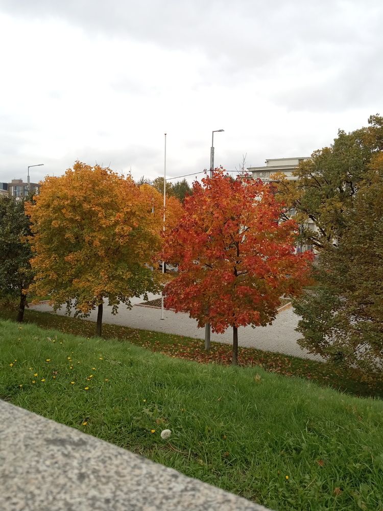 Photograph by Любовь Шаврина