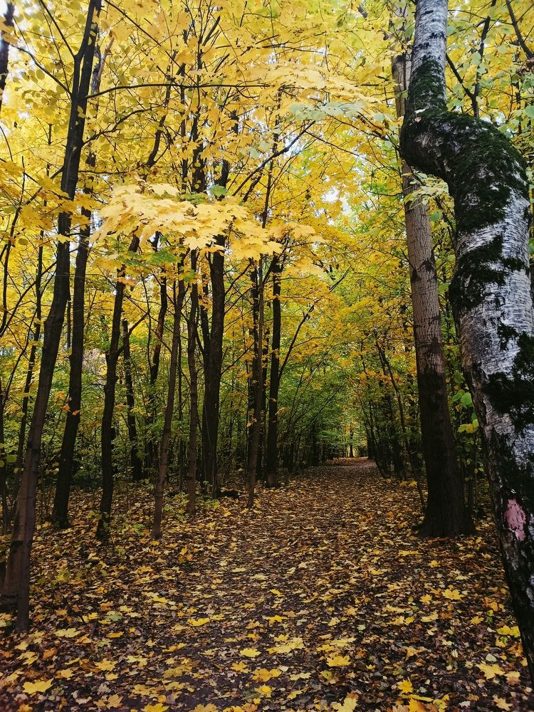 Photograph by Екатерина Дзюба