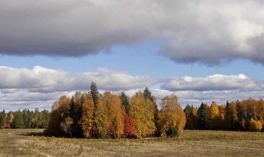 Фотография автора Павел Мартюшев