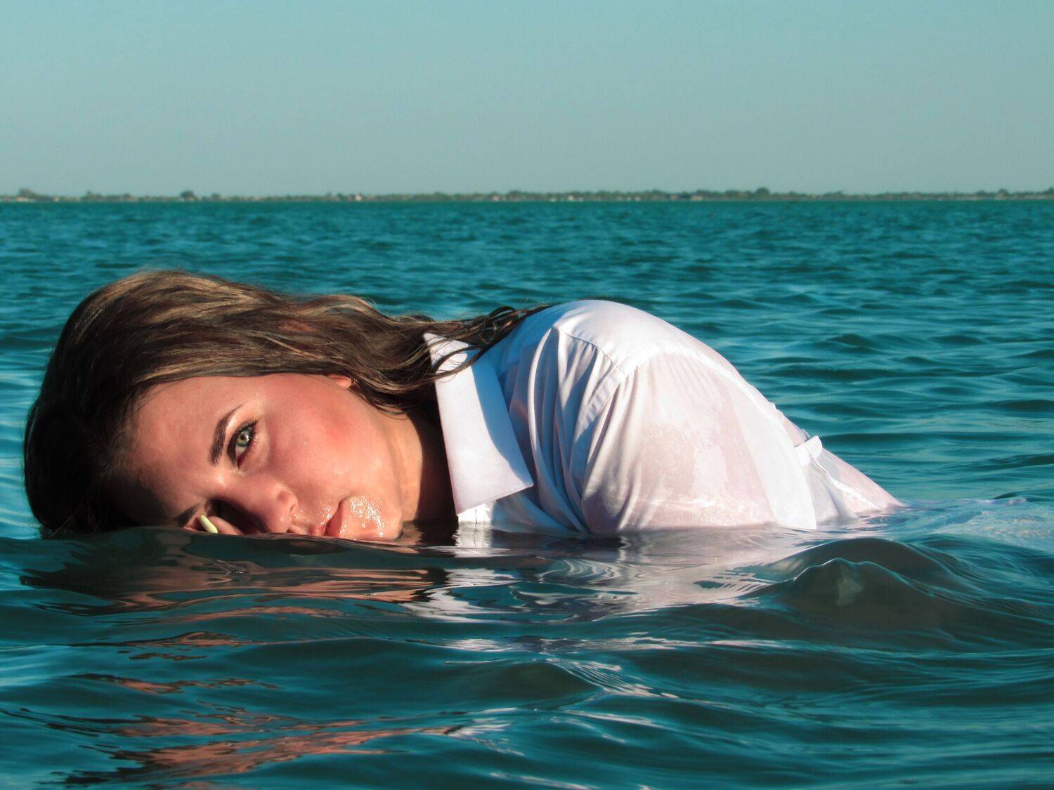 Photo #6554595