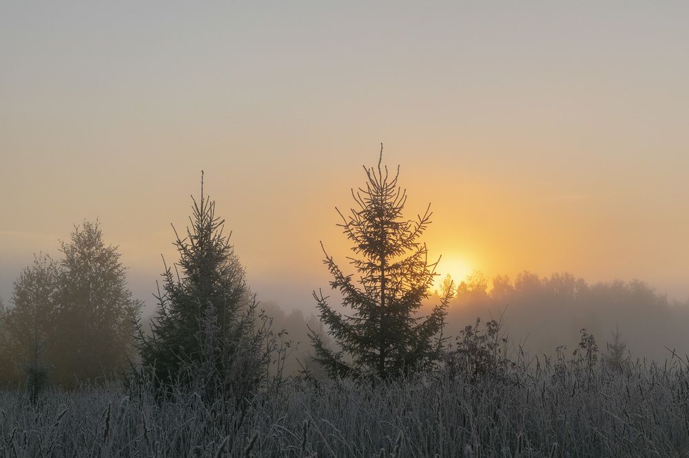 Фотография автора Галина Луценко