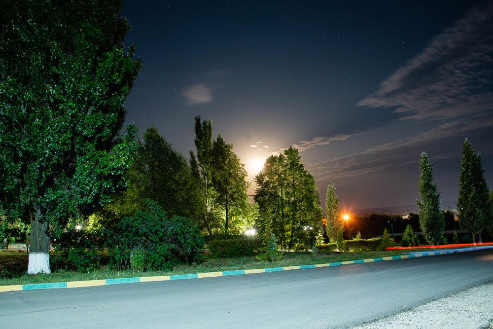 Photograph by Светлана