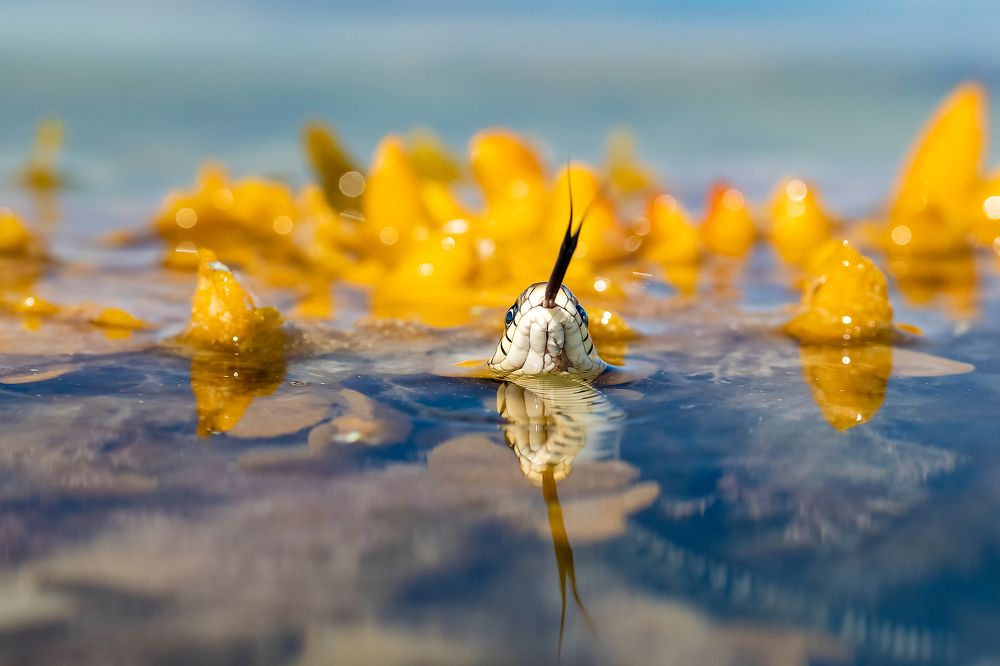 Photograph by Александр Абросимов