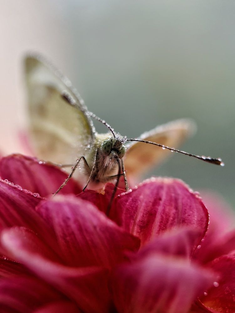 Photograph by Светлана Смирнова