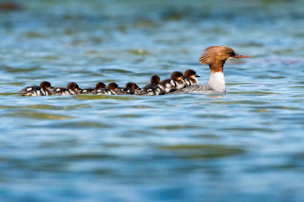 Photograph by Александр Абросимов
