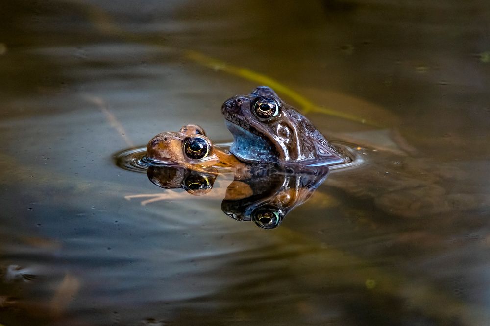 Photograph by Александр Абросимов