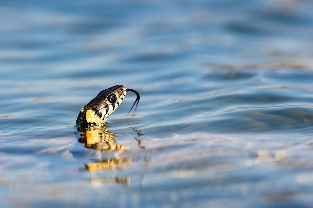 Photograph by Александр Абросимов