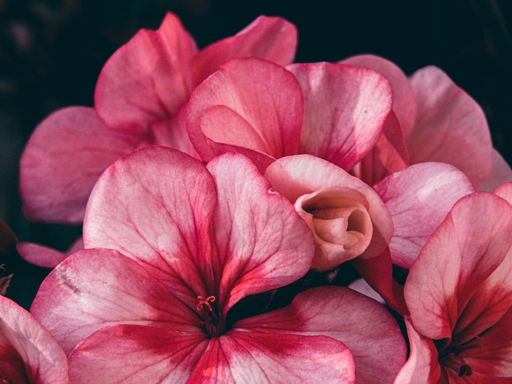 Photograph by Dalene Botes