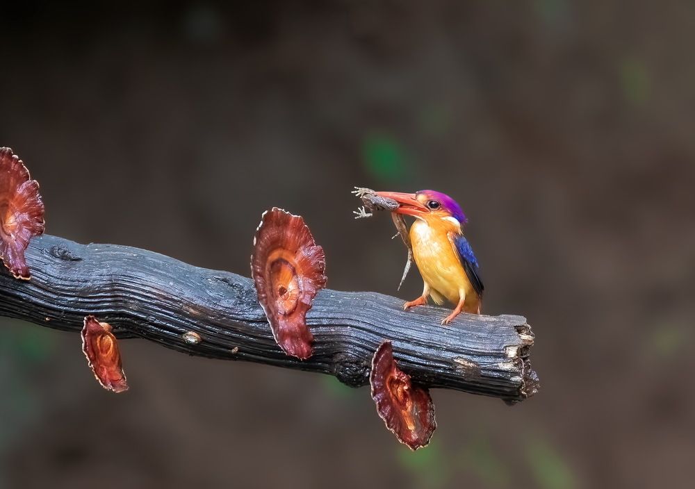 Photograph by Aniket Karane