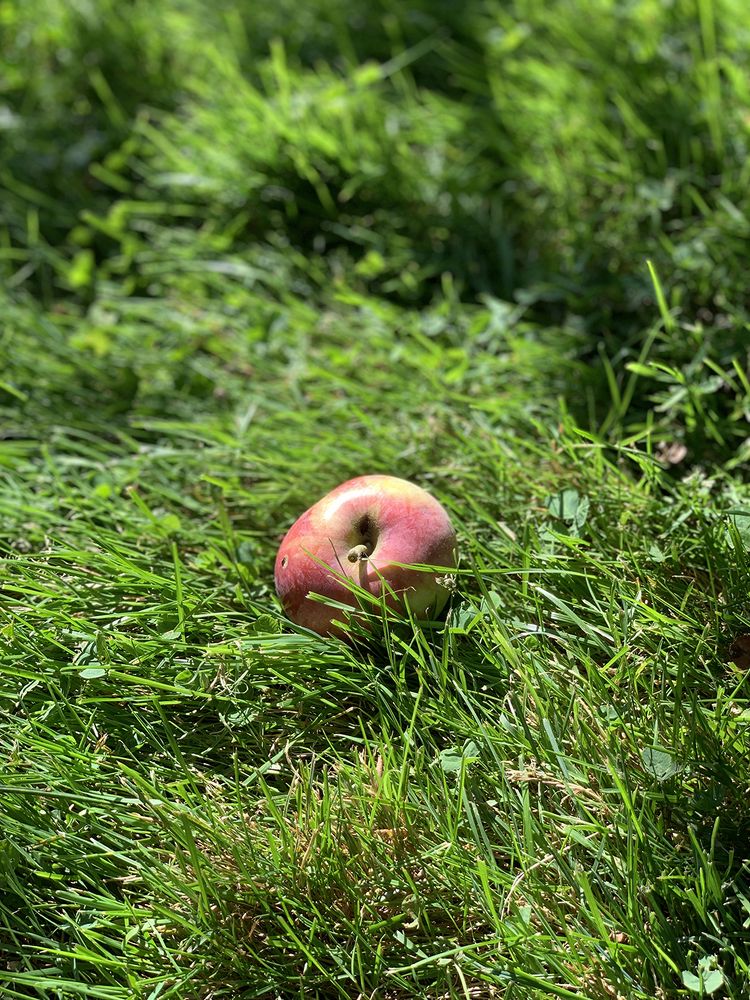 Photograph by Liliana Grup